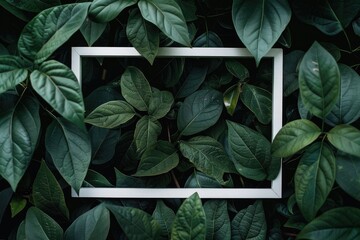 Wall Mural - In the center, a white square frame is encircled by lush green leaves