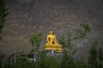 buddha statue in the temple