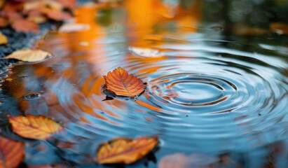 Wall Mural - Ripples in a calm pond reflecting autumn foliage