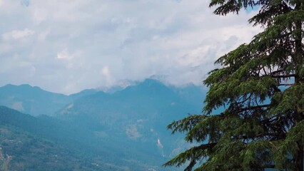 Wall Mural - Pine trees besides the Himalayan mountains with dark stormy clouds above them during the monsoon season as seen from Naggar in Himachal Pradesh, India. Stormy clouds above the Himalayas.