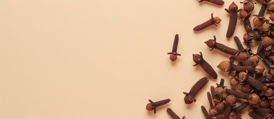 Aufkleber - Cloves spice isolated on a pastel background Clove  Spice. with copy space image. Place for adding text or design