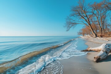 Wall Mural - Serene Beach Sunrise