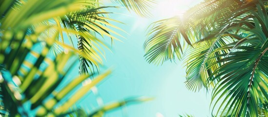 Poster - Palm Shade pastel background  Sky  Summer  Travel  Nature  Vintage, Tree, Landscape, Light, Leaf, transparent  Green, Blue, Plant, Tropical, Beautiful, Natural, Palm, Tourism, Exotic, Shade, Outdoor