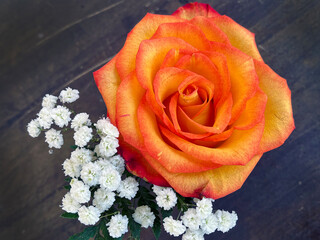 Sticker - Orange rose blossom and liliput snow solomio flower