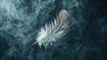 Poster - feather wool and blur on a dark backdrop