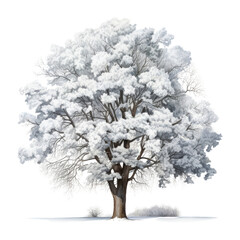 Wall Mural - white tree in snow watercolor isolated on transparent background cutout
