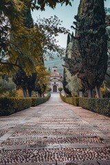 Poster - A serene outdoor setting with a walkway lined with trees and a building in the background, ideal for use in travel or lifestyle editorial