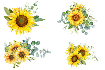 Wall Mural - Watercolor sunflower arrangement on transparent background. Floral bouquet arrangement for card, invitation, decoration