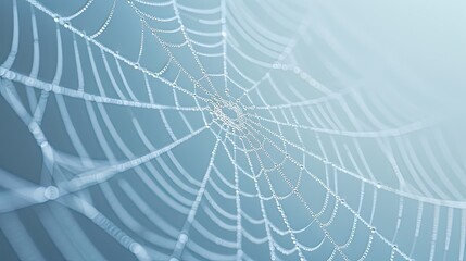 Dew-Covered Spider Web in Blue Light
