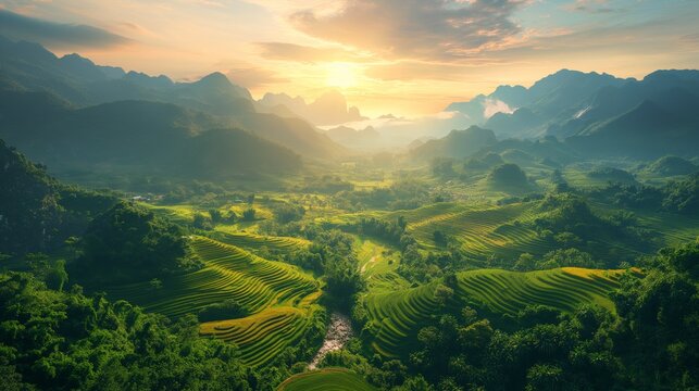 A panoramic view of rice terraces in Mu Cang Chai, Vietnam, illuminated by the golden rays of sunrise