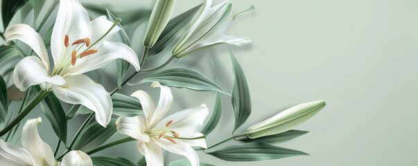 Wall Mural - Mother's Day background with a simple, elegant design featuring lilies and soft green leaves.