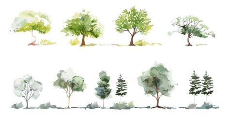 set of graphics trees elements drawing for architecture and landscape design, minimal style tree pai