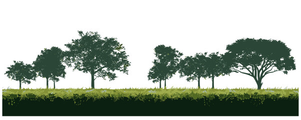 Wall Mural - Vector illustration of outdoor park, field of grass silhouette trees, evergreen forest side view green shadow, seamless border architecture landscape design drawing poster, nature scenery, scenic