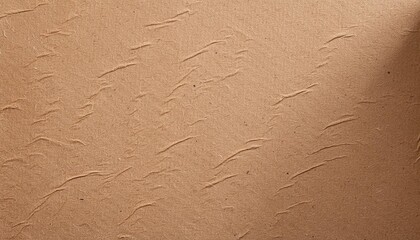 Sticker - paper texture cardboard background close up grunge paper texture