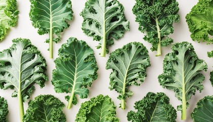 fresh organic green kale leaves pattern on a white background flat lay healthy nutrition concept