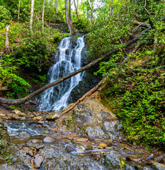 Wall Mural - Cataract Falls Near The Cove Mountain Trail, Great Smoky Mountains National Park, Tennessee, USA