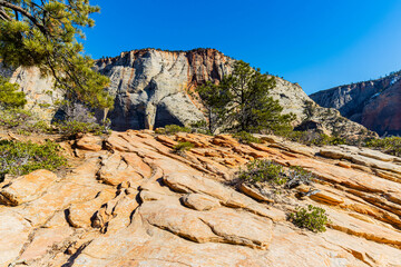 Wall Mural - Observation Point Across Behunin Canyon on The West Rim Trail, Zion National Park, Utah, USA