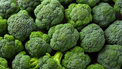 Wall Mural - Pile Lots of broccoli. Broccoli Background Concept. Vegetables over broccoli. from the top view