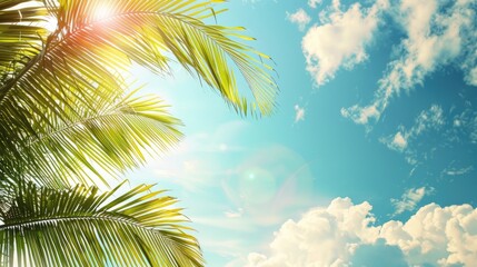 Sticker - A slight glimpse of palm leaves against a sunny sky on a summer day