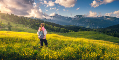 Wall Mural - girl on the hill with yellow flowers and green grass in beautiful alpine mountain valley at sunset i