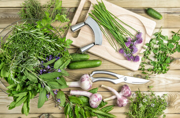 Canvas Print - Fresh herbs and vegetables. Food background. Cucumber basil parsley mint thyme chive garlic