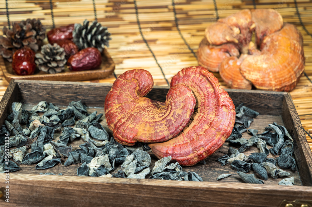 Close-up of a reishi medicinal mushroom (Ganoderma lucidum). This ...