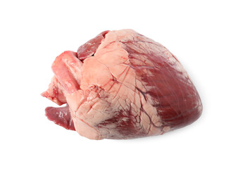 Sticker - One raw pork heart isolated on white