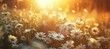 © irur - Field of daisies in the sun shining , floral card, summer flowers and grass in the field , meadow of flowers