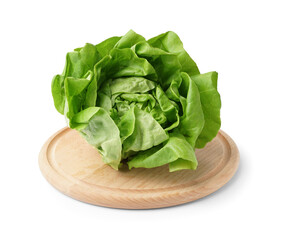 Wall Mural - Wooden board with fresh Boston lettuce on white background