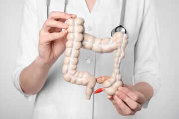 Canvas Print - Doctor with model of large intestine on light grey background, closeup