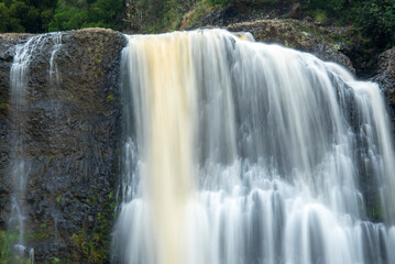 Wall Mural - Hunua Falls - New Zealand