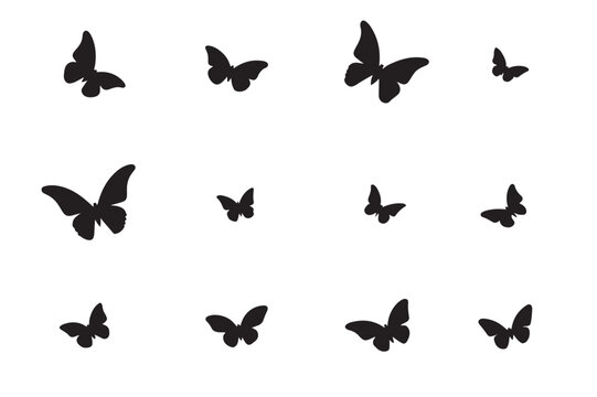 set of butterflies silhouettes