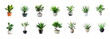 © Sim - Set of opuntia cactus in modern potted on transparency background PNG