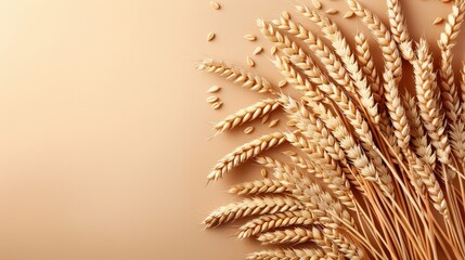 Poster - A simple and rustic arrangement of wheat sheaves on a warm, beige background, symbolising the harvest season and the beauty of nature's bounty.