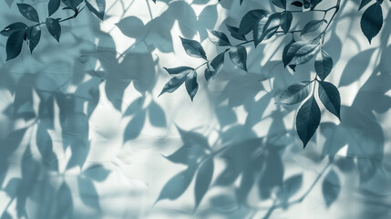 Shadow from tree leaves on an uneven sunlit white wall, background, backdrop for presentations