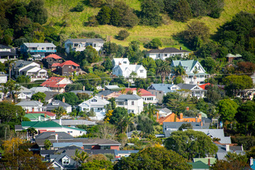 Poster - Residential Houses in Devonport - New Zealand