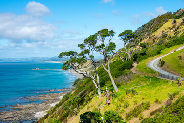 Sticker - Mangawhai Cliff Walk - New Zealand