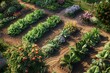 © AshrofS - Beautiful vegetable garden with neatly arranged rows of various plants and colorful flowers in bloom under the sunlight.