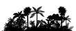 © KsanaGraphica - Jungle landscape. Vector background with silhouette of rainforest. Horizontal black panoramic border with palms, trees and bushes.