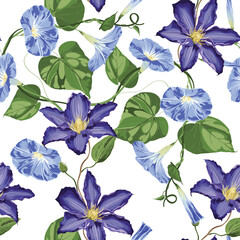 Wall Mural - Tropical floral seamless pattern background with violet ipomea and clematis flowers and leaves on white background. Botanical wallpaper illustration in Hawaiian style.