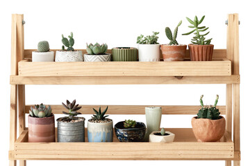 Poster - Wooden plant shelf png mockup with small cacti