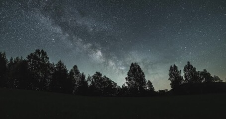 Wall Mural - milky way galaxy stars in starry sky over forest time lapse day to night