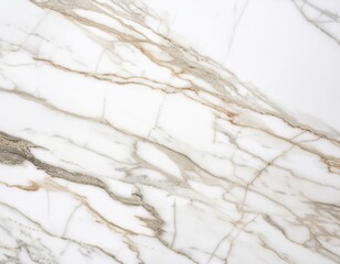 Canvas Print - White marble texture background