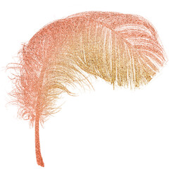 Poster - Png orange feather design element