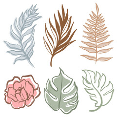 Sticker - Watercolor leaf png line art, abstract botanical illustration, transparent background set