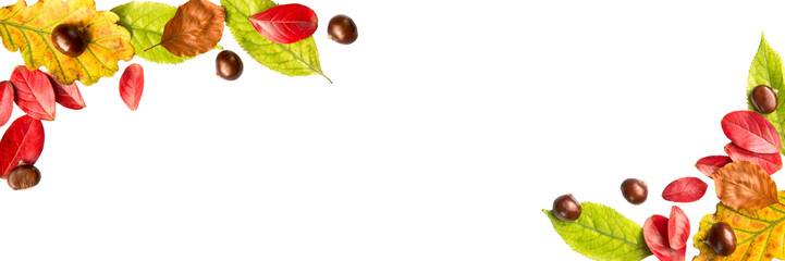 Wall Mural - colorful autumnal leaves and nuts isolated on transparent panoramic background with copy space. fall