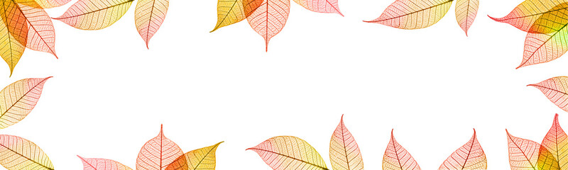 Wall Mural - frame of autumnal leaves web banner on transparent background, png file