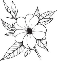 Wall Mural - hand drawing flower sketch art of Allamanda cathartica, Allamanda cathartica coloring pages flower line art vector illustration, floral garden for beautiful cute easy flower art