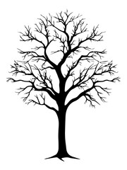 Canvas Print - PNG  Wide tree silhouette drawing sketch.