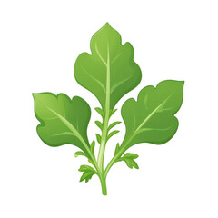 Sticker - vector illustration of arugula leaves
